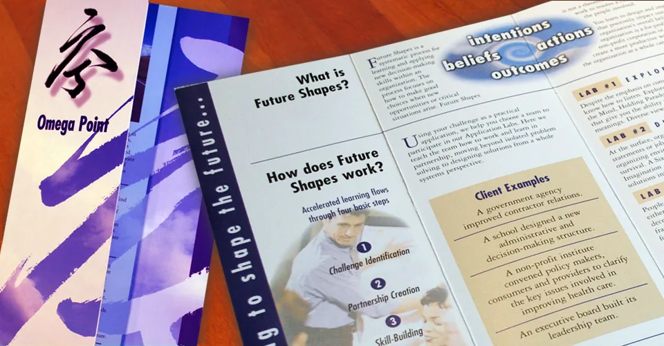 Omega Point brand identity and marketing collateral
